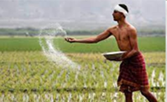 Agriculture Industries