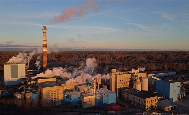 Pulp and Paper Industry